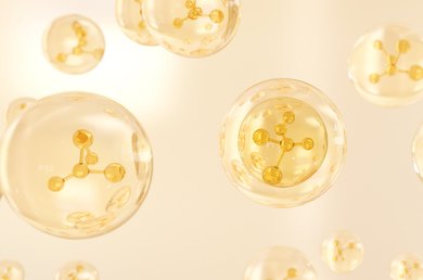 Collagen An Important Building Block Main Article Image