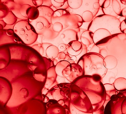 collagen and collagen peptides Image 3