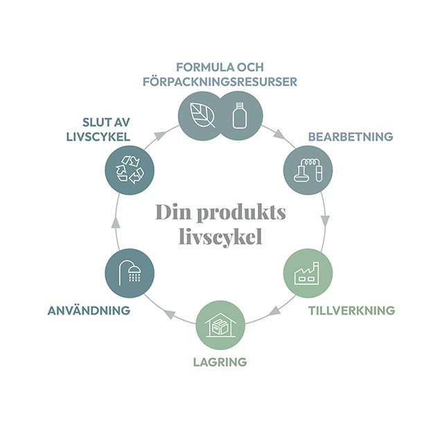 EBS-Planetary_Impacts-Sweden_-_Swedish